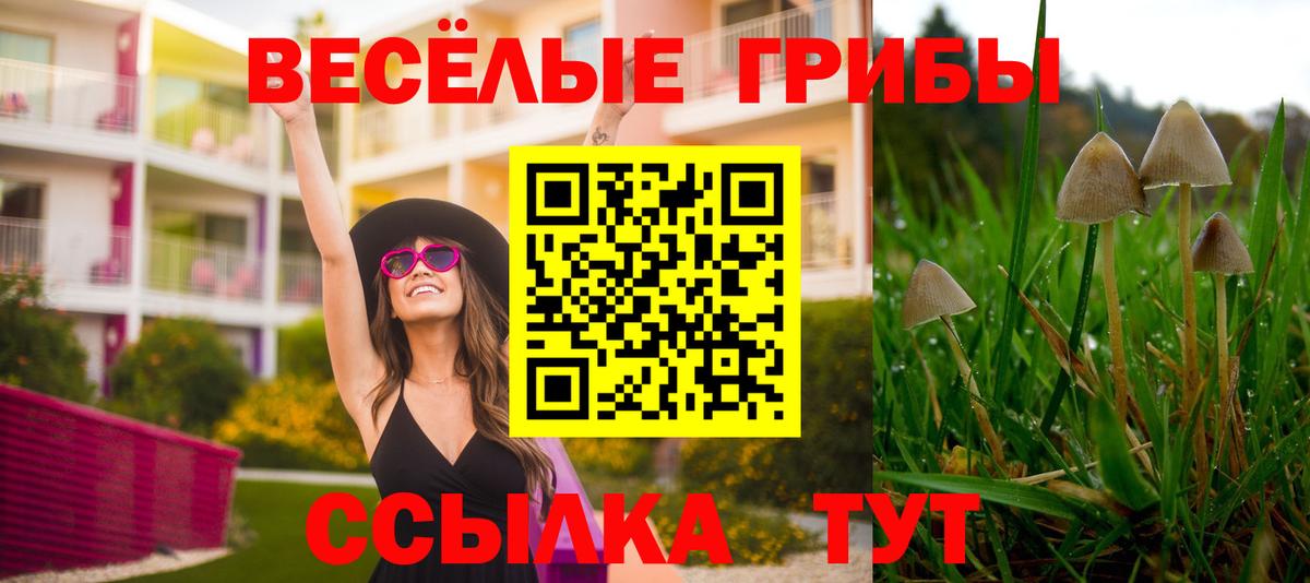 Галлюциногенные грибы ЛСД Куйбышев