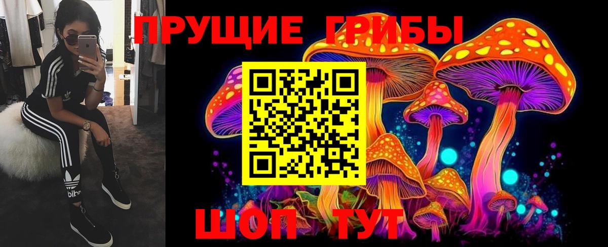 Куйбышев  Галлюциногенные грибы мицелий  Вход с VPN 